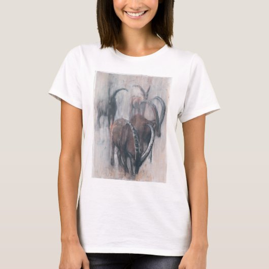 財産のStambecchi Tシャツ (正面)