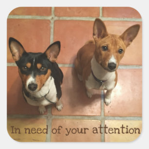貧乏なBasenji スクエアシール