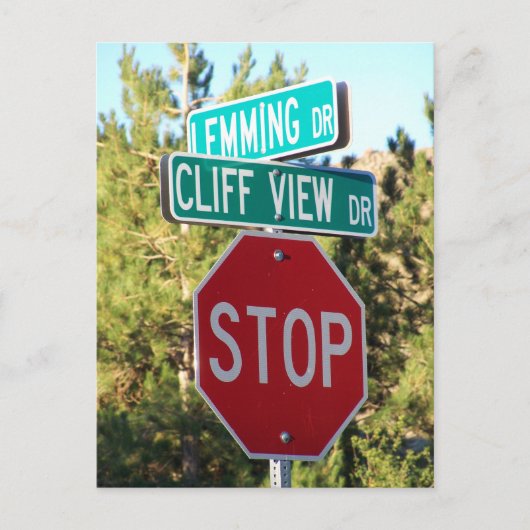 貧弱なレミングはがき ポストカード (正面)