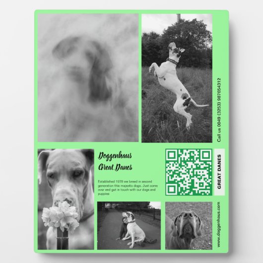 販売する子犬のテンプレート フォトプラーク (正面)