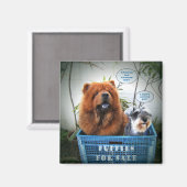 販売する子犬 マグネット (正面/裏面)