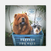 販売する子犬 マグネット (正面)