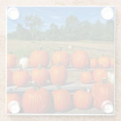 販売のためのカボチャGlass Coaster ガラスコースター (裏面)