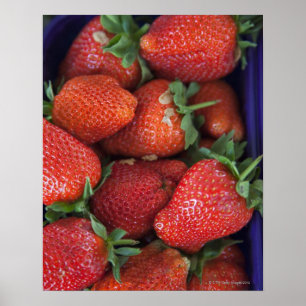販売のための熟した新しいいちごのpunnet ポスター