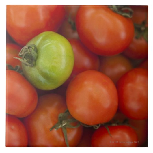 販売のためのaの赤いおよび緑のトマトは署名します タイル (正面)