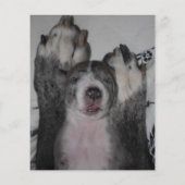 販売フライヤー用の子犬テンプレート チラシ (裏面)