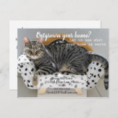 販売メーラー紹介実在マーケティング販売 ポストカード (正面/裏面)