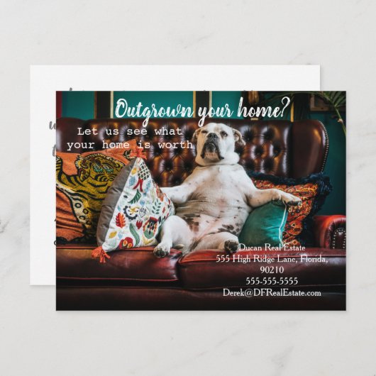 販売メーラー紹介実在マーケティング販売 ポストカード (正面/裏面)