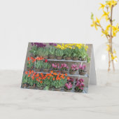 販売春の花 カード (黄色い花)