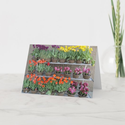 販売春の花 カード (正面)