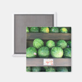 販売用スイカBodega NYC写真 マグネット (正面/裏面)