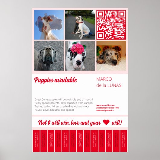 販売用チラシテンプレートの印刷可能な子犬のデザイン ポスター (正面)