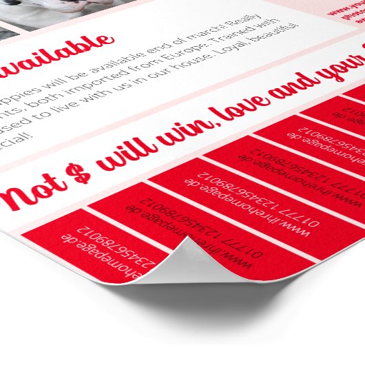 販売用フライヤーテンプレートの印刷可能な子犬を引き裂く ポスター (角)