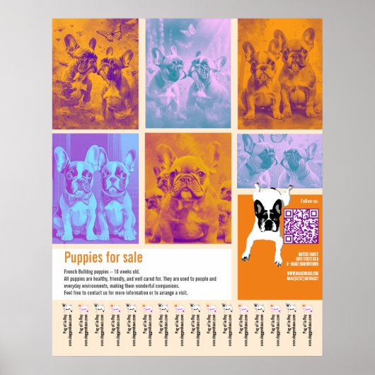 販売用子犬ポスターテンプレート 6画像 QRコード ポスター (正面)