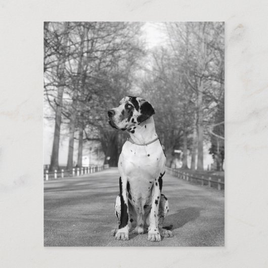 販売者ポスター チラシ (裏面)