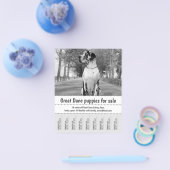 販売者ポスター チラシ (シングル)