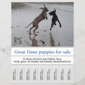 販売者ポスター チラシ (正面)