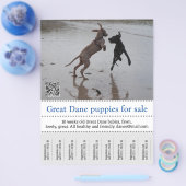 販売者ポスター チラシ (シングル)