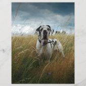 販売者ポスター チラシ (裏面)