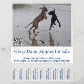 販売者ポスター チラシ (正面)