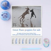 販売者ポスター チラシ (シングル)