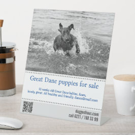 販売者ポスター 台座サイン