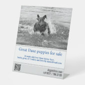 販売者ポスター 台座サイン (正面)