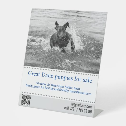 販売者ポスター 台座サイン (正面)