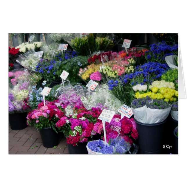 販売、S Cyrのための花 (正面横)