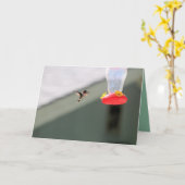 貪欲な小さな男 カード (黄色い花)