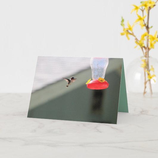 貪欲な小さな男 カード (黄色い花)