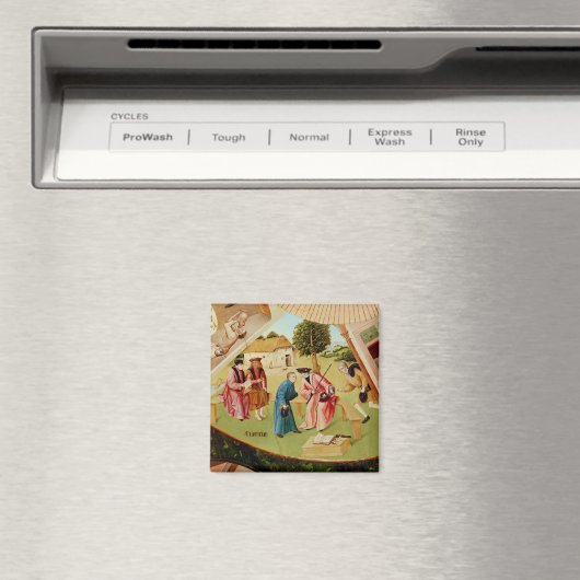 貪欲な マグネット (インサイチュ (食洗機))