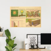 貫通放射線 ポスター (ホームオフィス)