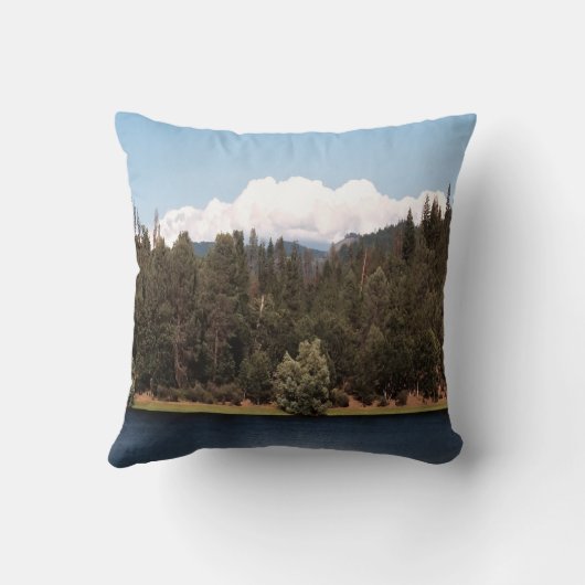 貯水池を春...... クッション (裏面)