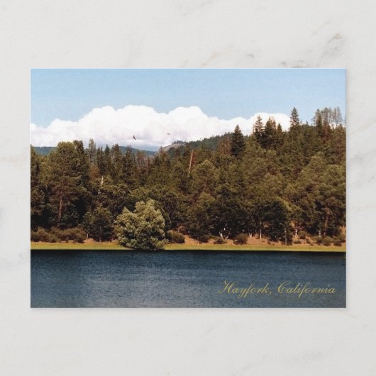 貯水池を春..... ポストカード (正面)