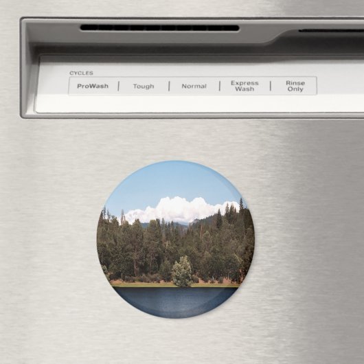 貯水池を春........ マグネット (インサイチュ (食洗機))