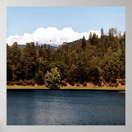 貯水池を表示….. ポスター (正面)