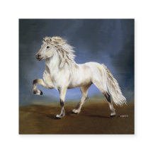 貴族アイスランド馬