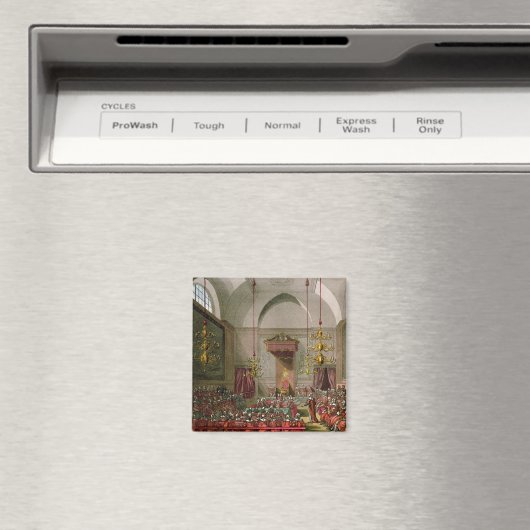 貴族院 マグネット (インサイチュ (食洗機))