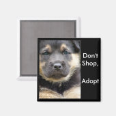 買い物をしない採用！磁石を入れる マグネット (正面/裏面)