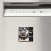 買い物をしない採用！磁石を入れる マグネット (インサイチュ (食洗機))