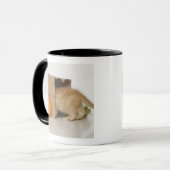 買い物袋の中の子ネコ マグカップ (正面左)