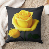 買スタイリッシュ装飾用クッション – ソフト&装飾 クッション (ブランケット)