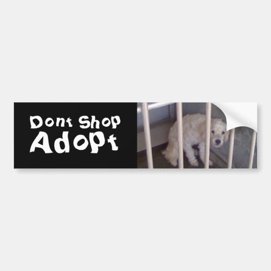 買物をしないで下さい バンパーステッカー (正面)