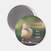 買磁石 マグネット (正面/裏面)