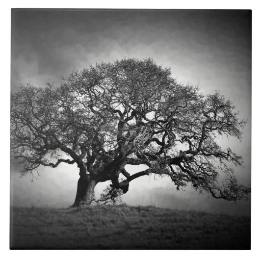 貸しオーク材 タイル (正面)