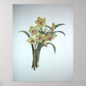 貸しユリ ポスター (正面)