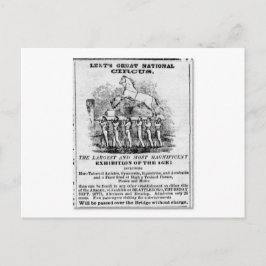 貸し素晴らしん国営サーカス広告 ポストカード