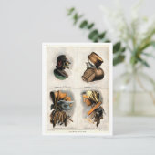 貿易ヴィンテージの複合ポートレート ポストカード (スタンド正面)