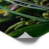 貿易風の下で,バルバドス ポスター (角)